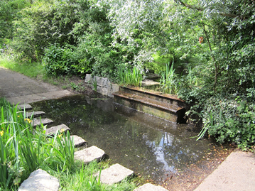 Russia Dockland Woodland